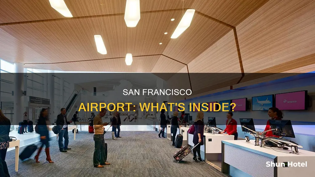what is in san francisco airport