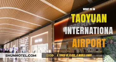 Exploring Taoyuan International Airport: Amenities, Services, and Facilities Inside