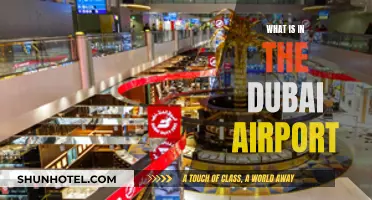 Explore Dubai's Airport: Shopping, Dining, and More
