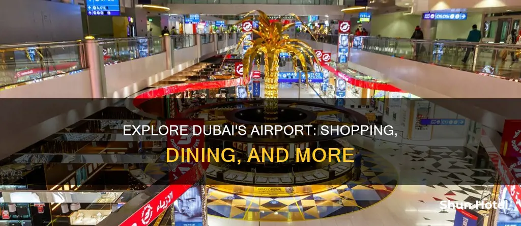 what is in the dubai airport