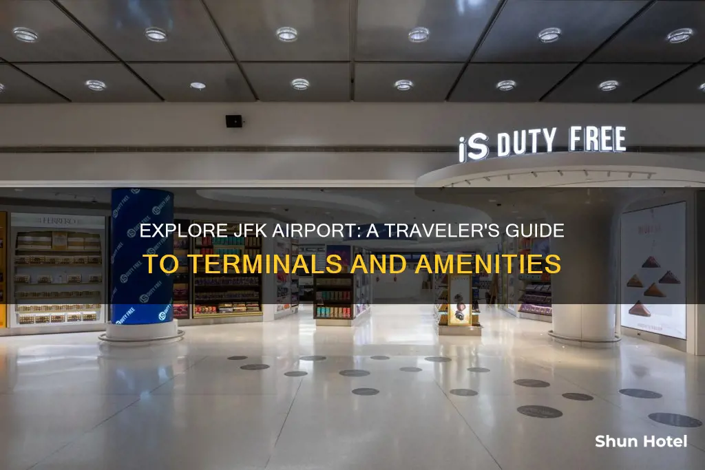 what is in the jfk airport