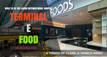 Logan Airport Terminal E Food Guide: Best Dining Options Revealed