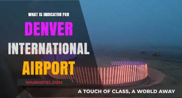 Understanding the Unique Indicators at Denver International Airport