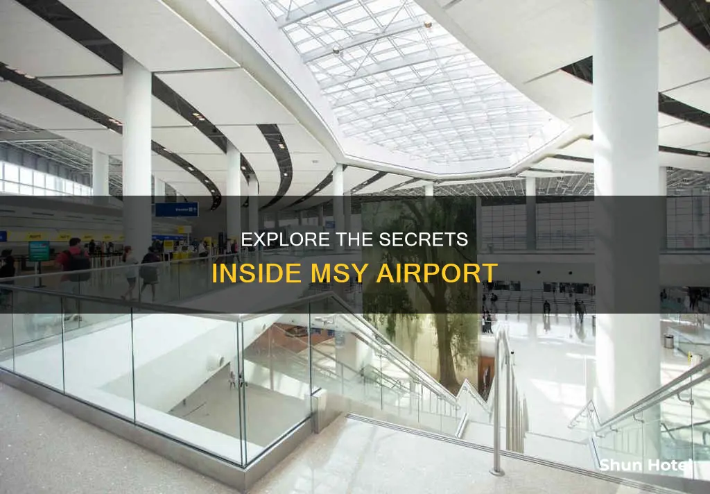 what is inside the msy airport
