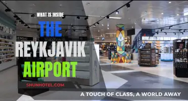 Reykjavik Airport: Unveiling the Terminal Treasures