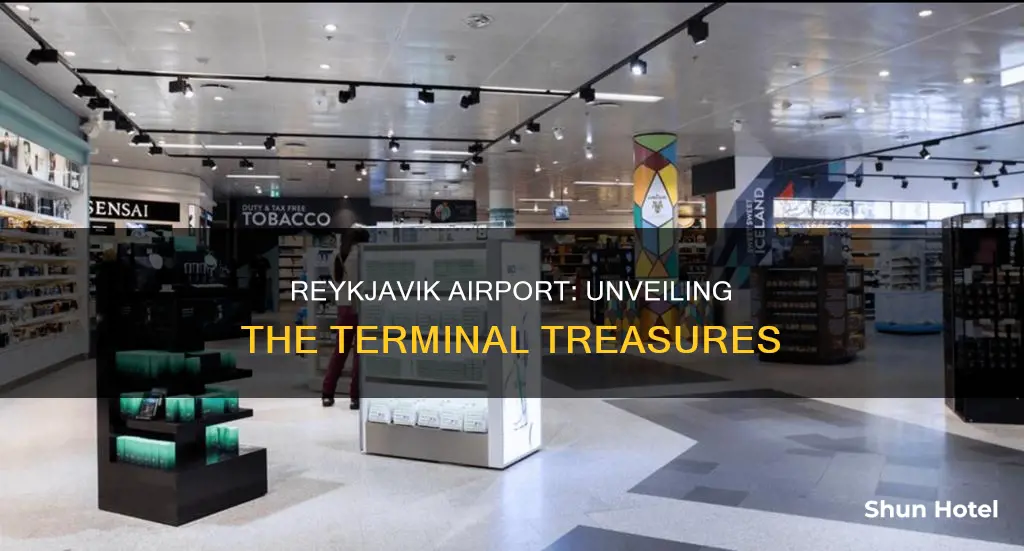 what is inside the reykjavik airport