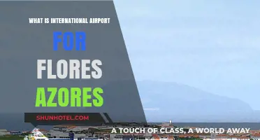Exploring Flores Azores: Its International Airport and Travel Essentials