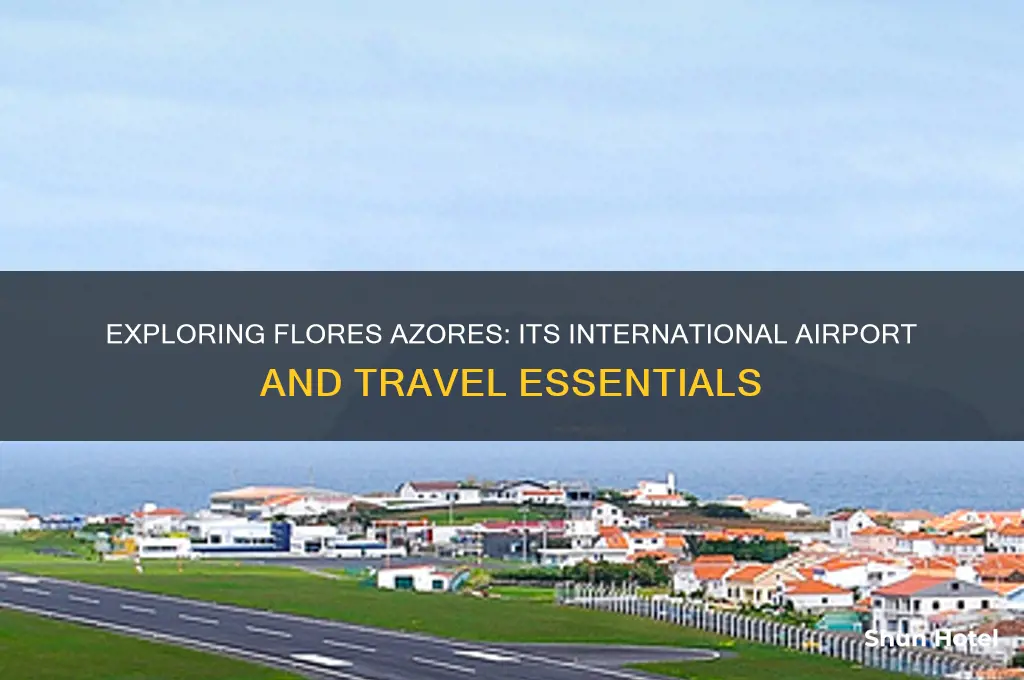 what is international airport for flores azores