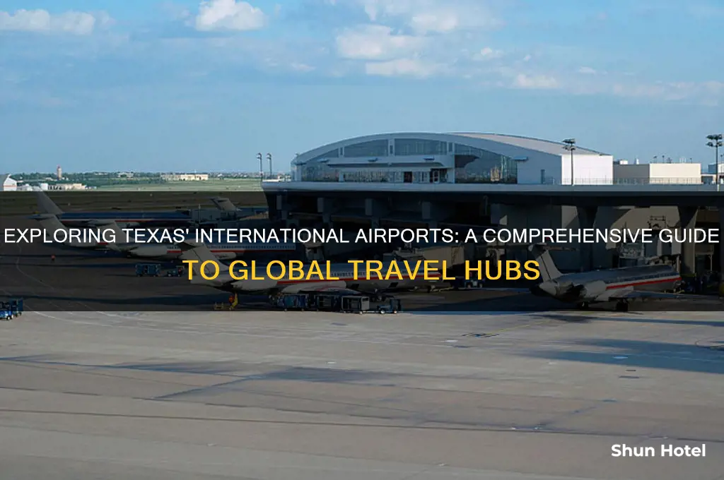 what is international airport in texas