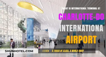 Exploring Charlotte-Douglas International Airport's International Terminal: A Comprehensive Guide