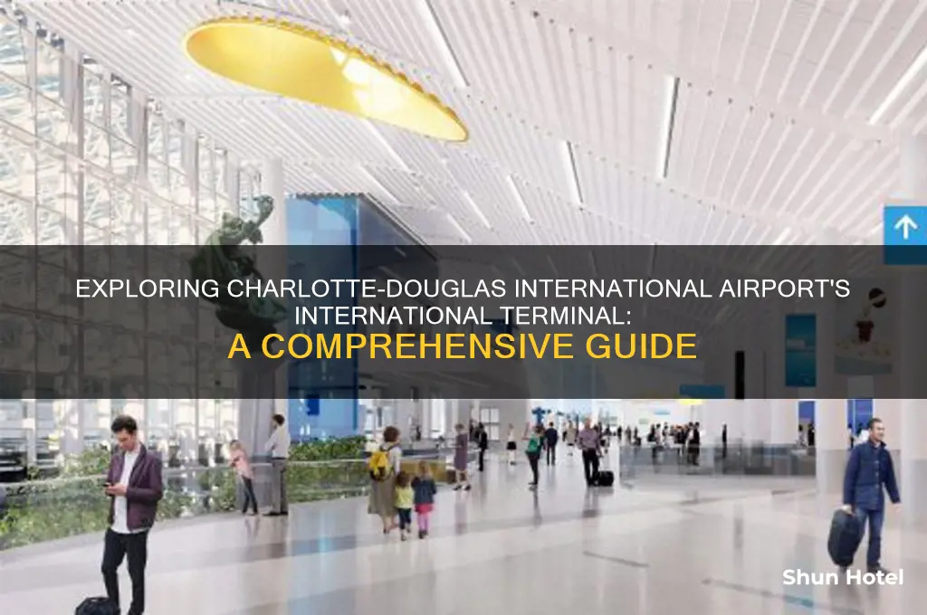 what is international terminal at charlotte-douglas international airport