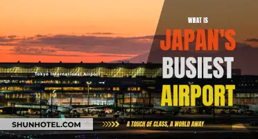 Japan's Busiest Airport: A Transportation Hub