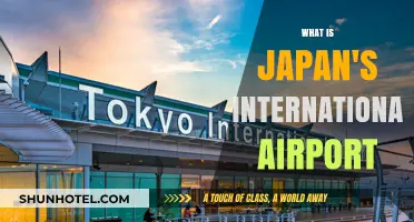 Exploring Japan's Main International Airport: A Comprehensive Guide