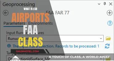 Understanding the FAA's LGB Airport Classification