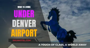Denver Airport's Underground Secrets Revealed