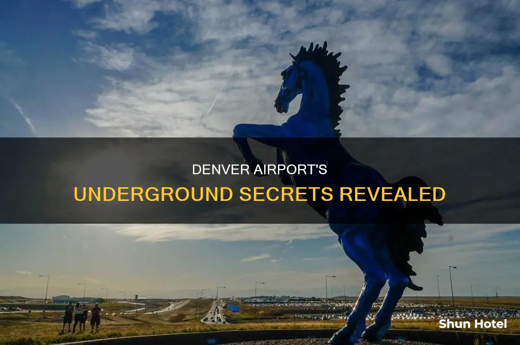 what is living under denver airport