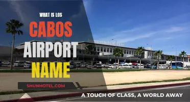 Los Cabos Airport: Name and All You Need to Know