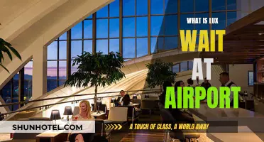Lux Wait: Airport Comfort and Convenience