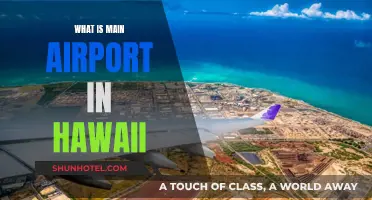 Hawaii's Main Airport: A Traveler's Guide