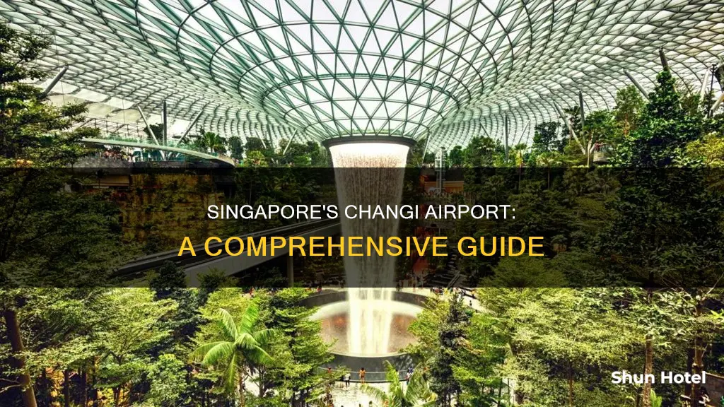 what is main airport in singapore