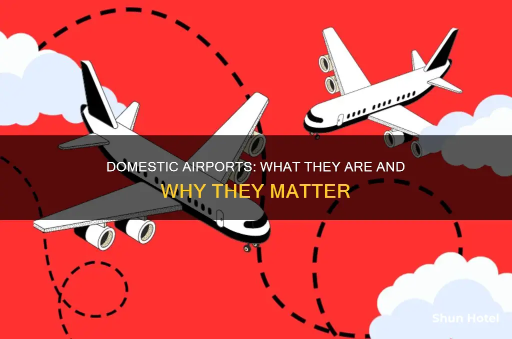 what is meant by domestic airport