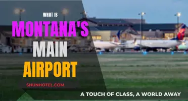 Montana's Main Aviation Hub: Exploring the Airport's Significance