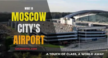 Moscow's Airport: A Guide to the City's Aviation Gateway