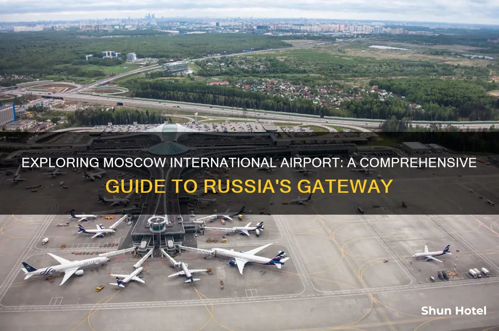 what is moscow international airport
