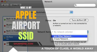 Finding Your Apple Airport SSID