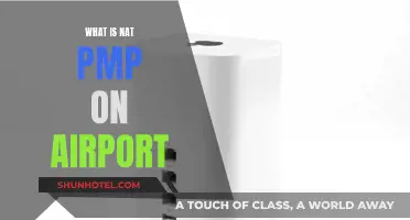 NAT-PMP: How It Works on Airport Networks