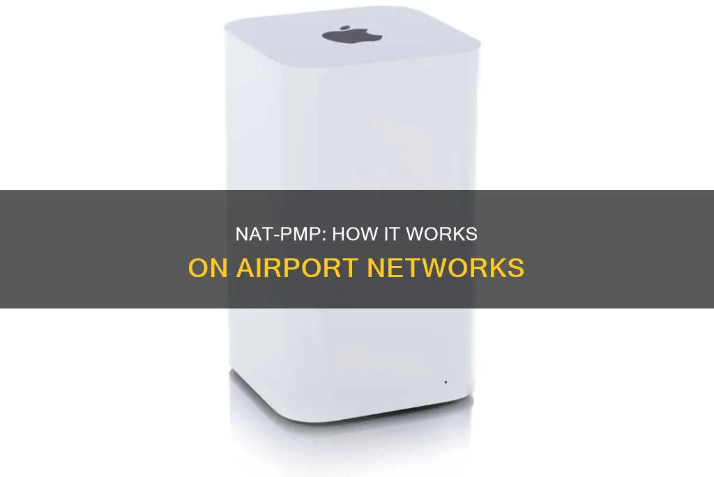what is nat pmp on airport