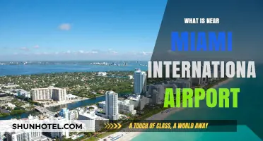 Exploring Miami: Top Attractions Near Miami International Airport