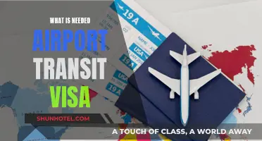 Airport Transit Visa: What You Need to Know