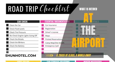 Essentials for a Smooth Airport Experience