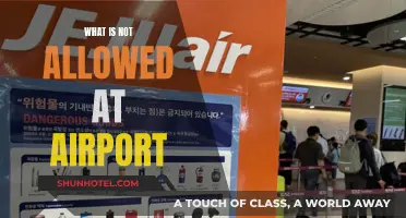 Items Banned from Airports: What Not to Bring