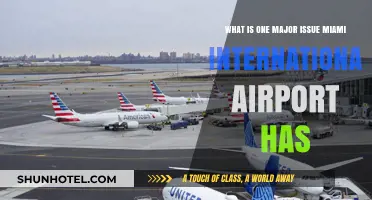 Miami International Airport's Persistent Passenger Processing Delays: A Major Issue