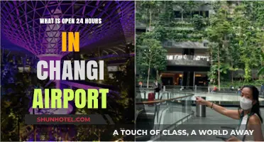 Exploring Changi Airport: 24-Hour Dining, Shopping, and Services Guide