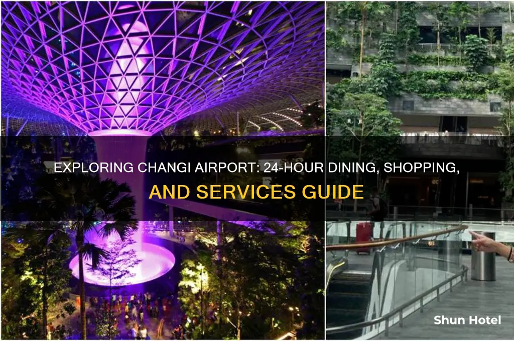 what is open 24 hours in changi airport