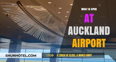 Auckland Airport Essentials: Shops, Dining, and Services Open Now