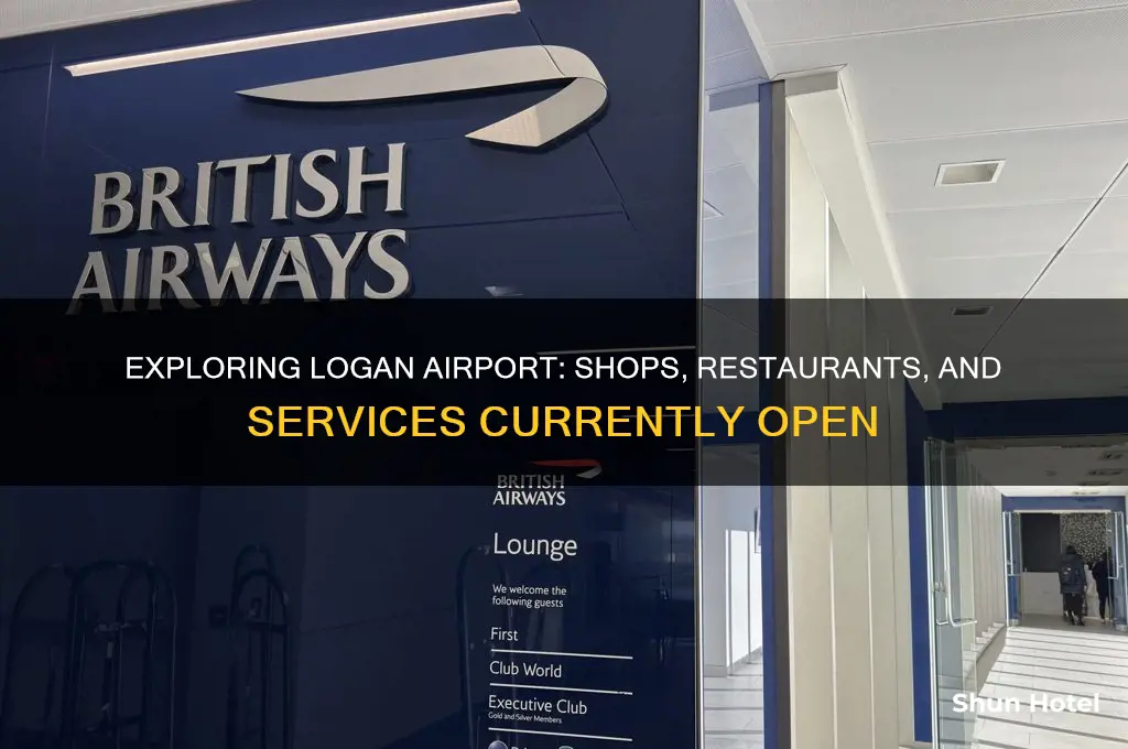 what is open at logan airport