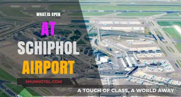 Schiphol Airport Guide: Shops, Restaurants, and Services Open Now