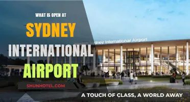 Sydney International Airport: Open Shops, Dining, and Services Guide
