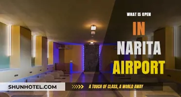 Narita Airport Guide: Shops, Restaurants, and Facilities Open for Travelers