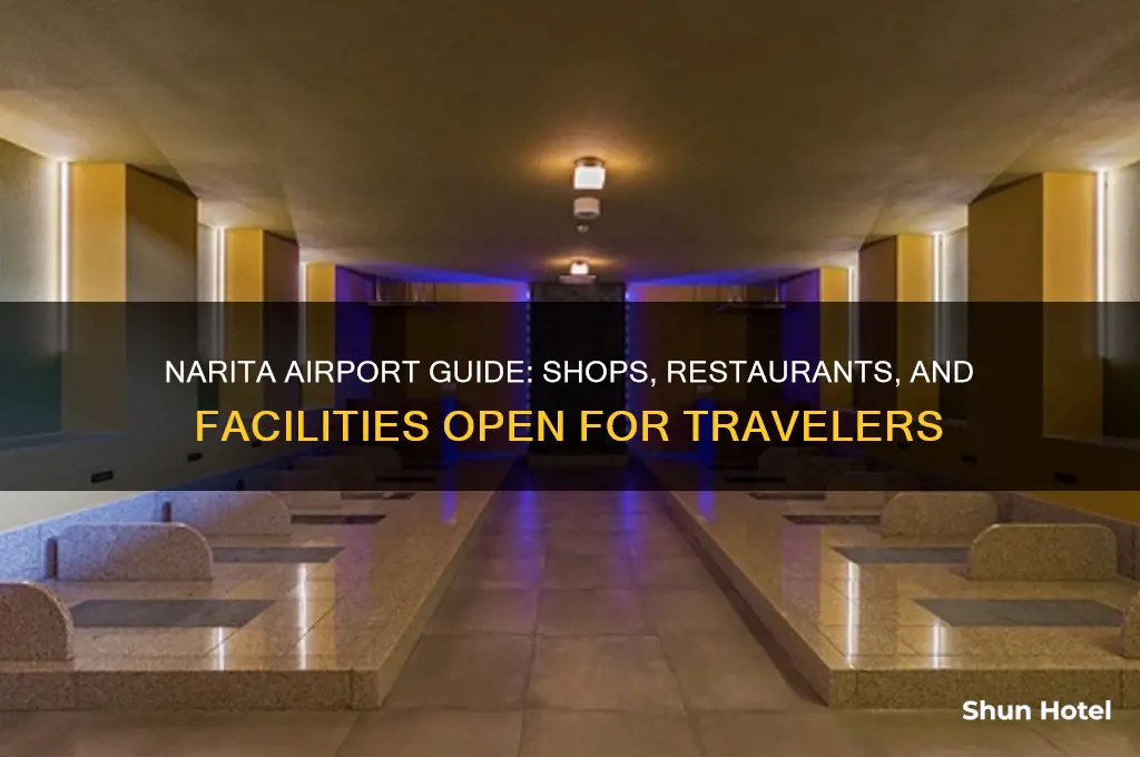 what is open in narita airport