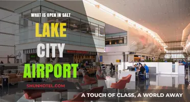 Exploring Salt Lake City Airport: Open Amenities and Services Guide
