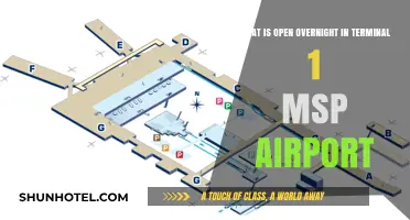 MSP Airport Terminal 1: Overnight Amenities and Services Available 24/7