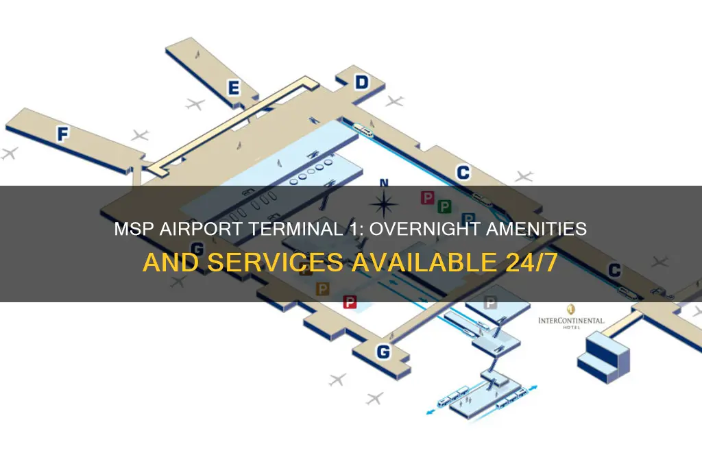 what is open overnight in terminal 1 msp airport