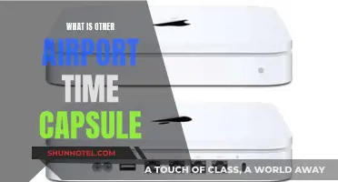 Unveiling the Mystery of Airport Time Capsules