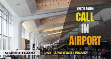 Paging Calls: How Airports Communicate with Passengers