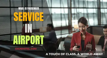 Passenger Service: Airport Essentials